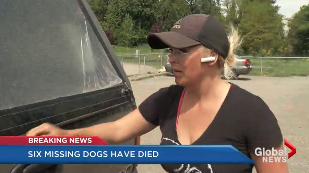 Emma Paulsen jobbade som hundvakt och hittade på att hundarna hade blivit kidnppade.